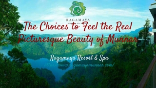 The Choices to Feel the Real Picturesque Beauty of Munnar