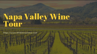 Napa Valley Wine Tour