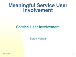 Meaningful Service User Involvement