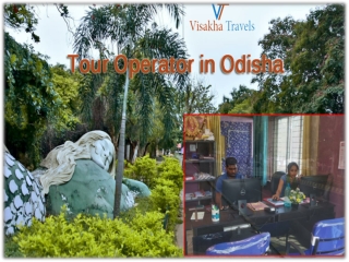 Get the Best Tour Operator in Odisha with Visakha Travels