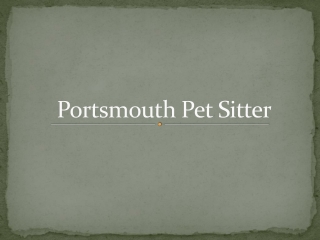 Professional Pet Sitting Service in Efford