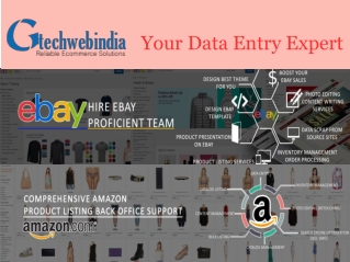 Affordablen data entry services - Gtechwebindia