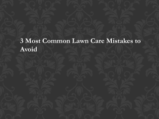 3 Most Common Lawn Care Mistakes to Avoid