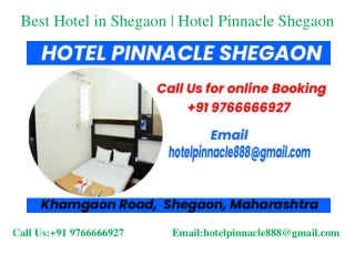 Top hotels in shegaon |Hotel Pinnacle Shegaon