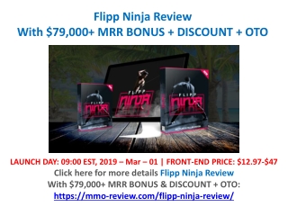 Flipp Ninja Review