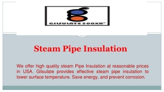 Steam Pipe Insulation