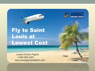 Fly to Saint Louis at Lowest Cost