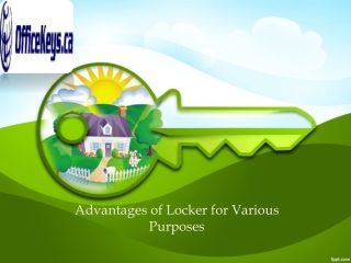 Advantages of Locker for Various Purposes