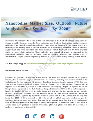 Nanobodies Market Expectations and Growth Trends Highlighted Until 2026