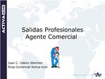 Salidas Profesionales Agente Comercial