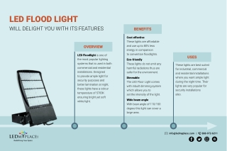 LED Flood Light will Delight you with its Features