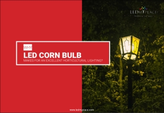 Why LED Corn Bulb Makes For An Excellent Horticultural Lighting.