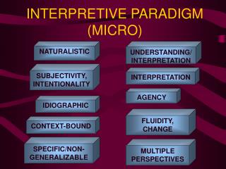 INTERPRETIVE PARADIGM (MICRO)