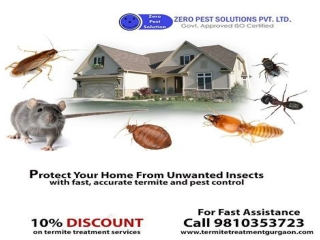 Top pest control Gurgaon, Dial 91-9810353723