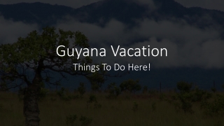 Guyana Vacation - Things To Do Here!