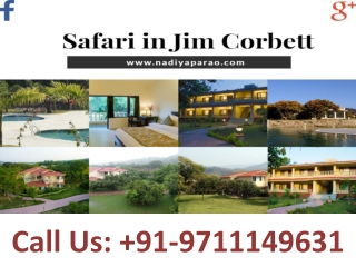 Safari in Jim Corbett