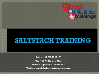 Saltstack Training | Saltstack Online Training - Global online training