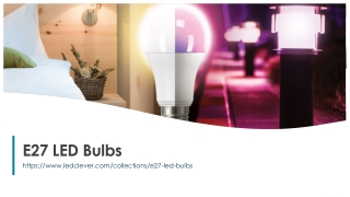 E27 LED Bulbs