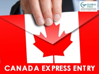 Canada Express Entry Immigration Consultants - Global Tree