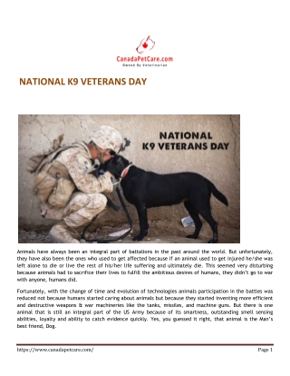 K9 veterans-day