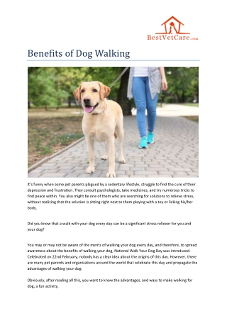 Benefits of Dog Walking