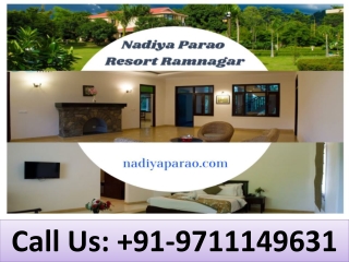 Nadiya Parao Resort Ramnagar