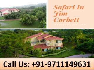 Safari In Jim Corbett