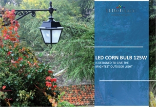 Are LED Corn Bulbs Energy Efficient?
