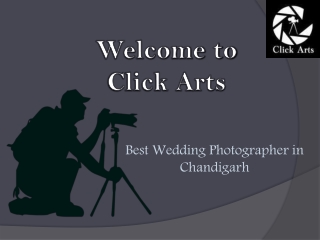 Wedding Photographer in Bathinda