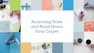 DIY Removing Blood and Urine stains from Carpets