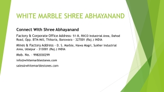 WHITE MARBLE SHREE ABHAYANAND