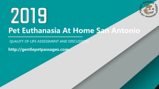Pet Euthanasia at Home San Antonio -Gentle Pet Passages