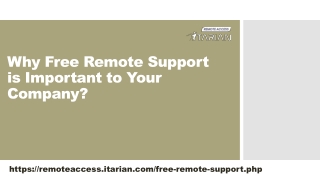 What is Remote Support?