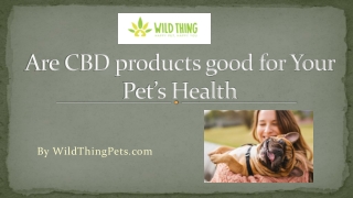Are CBD products good for Your Pet’s Health