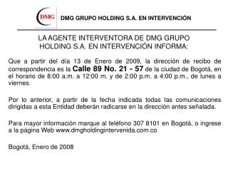 dmg grupo holding s.a dmg grupo holding s.a