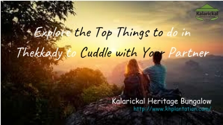 Explore the Top Things to do in Thekkady to Cuddle with Your Partner
