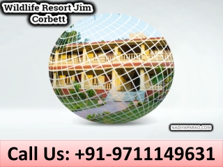 Wildlife Resort Jim Corbett