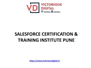 Salesforce Training Institute In Pune