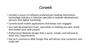 web development services in lahore