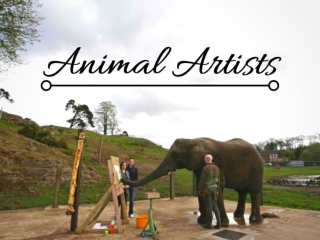Animal artists