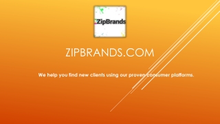 Real Estate Lead Generation Programs - ZipBrands