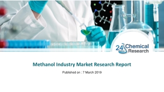 Methanol Industry Market Research Report