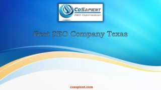 SEO Company Texas