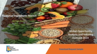 Prebiotics Ingredients Market Insights By Size, Status And Forecast 2023