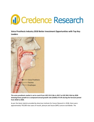 Voice Prosthesis Industry 2018 Better Investment Opportunities with Top Key Leaders