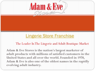 Lingerie Store Franchise Opportunity