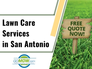 Are you in need of your lawn care in San Antonio, Texas areas? Choose GoMow