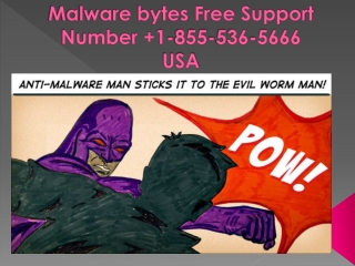 Malware bytes Free Support Number 1-855-536-5666 USA