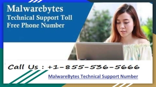 MalwareBytes Technical Support Number 1-855-536-5666