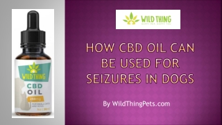 How CBD Oil Can Be Used for Seizures In Dogs